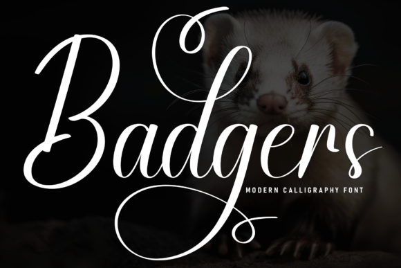 Badgers: A Handwritten Font That Brings Warmth to Editorial Design