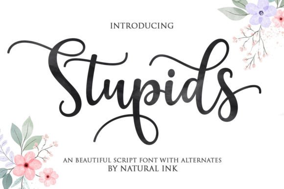 Stupids Font: A Handwritten Script for Crafters and Creators
