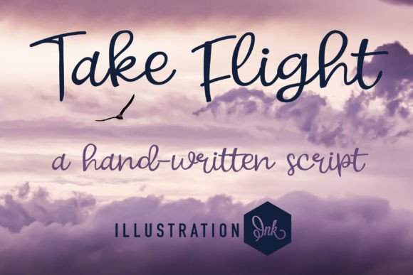 Take Flight: A Designer’s Review of a Script Amp